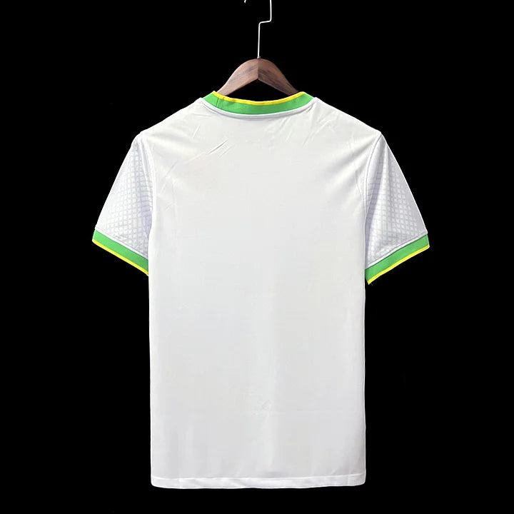 Maillot foot concept Brésil 2024-2025